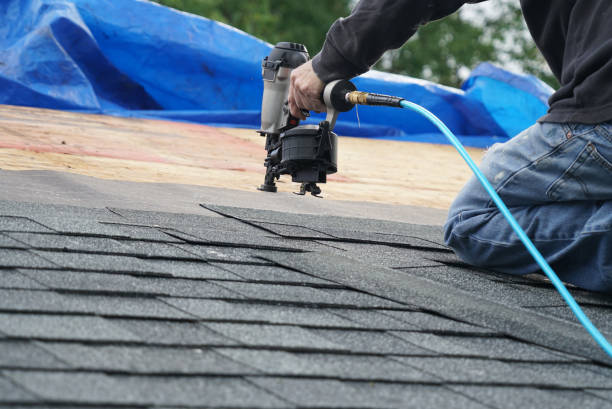 Best Roof Ventilation Installation  in Vamo, FL
