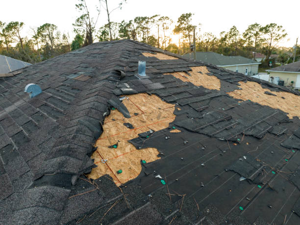 Best Roof Insulation Installation  in Vamo, FL