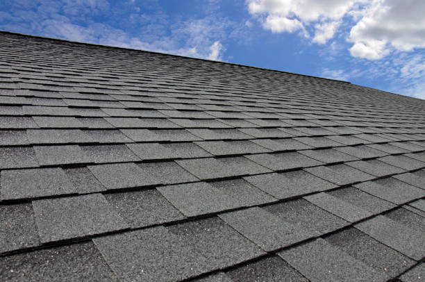 Best Green or Eco-Friendly Roofing Solutions  in Vamo, FL